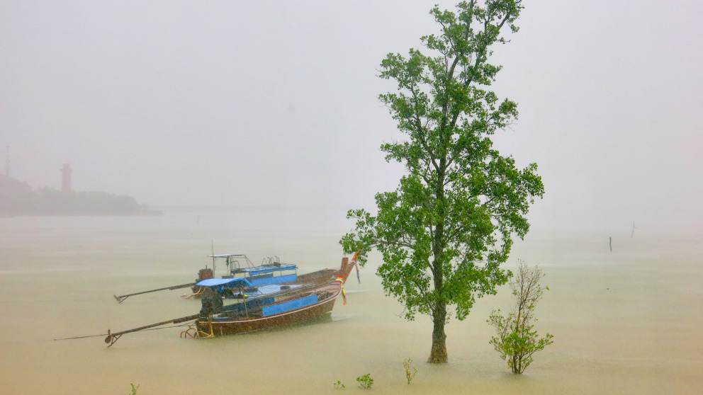 How can we develop integrated approaches to fostering the sustainable use of oceans and coasts? In the COST project researchers investigate innovative models of ocean governance.